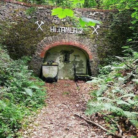 Ferienhaus 30 Am Silbersee Frielendorf Bagian luar foto